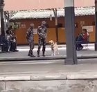 "Sir, Can I play for a little bit?" Officer: "Ok, you have 1 minute"