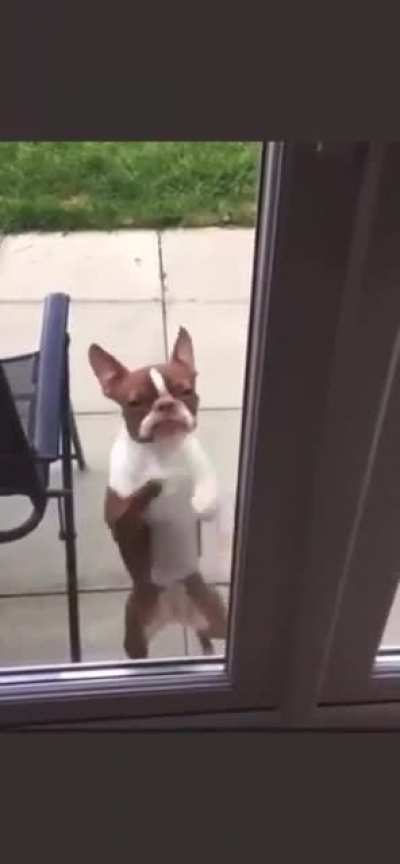 She would like to come inside