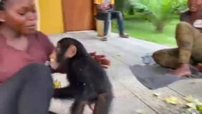 Bananas and gratitude ?