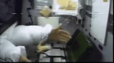 Frog react to zero gravity