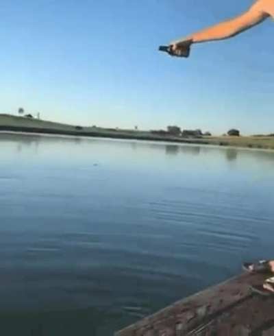 Just what the fish wanted
