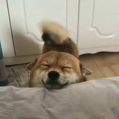 Good morning!