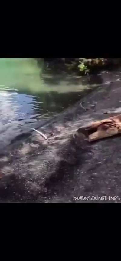 WCGW swinging into a river?