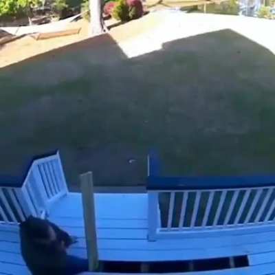 Maybe Maybe Maybe
