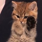 Gimme me a hug!!