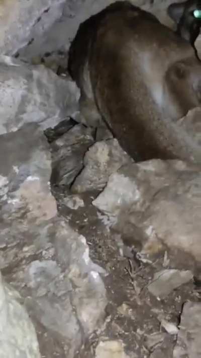 Exploring natural caves in America is always "funny"