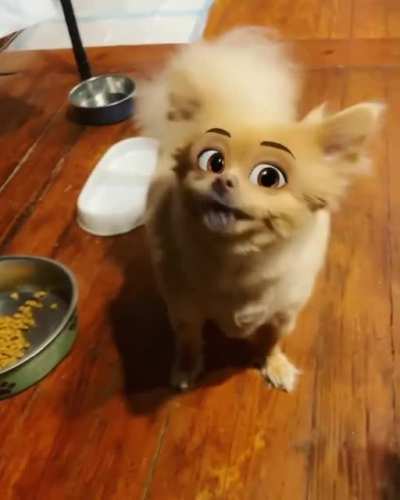 Cartoon dogs kill me??