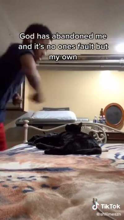 Shake shake