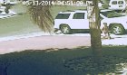 Cat saves a toddler from an attacking dog