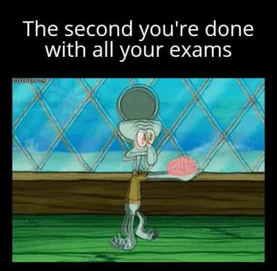 Ready to memorize more useless information