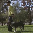 Best friends synchronize a trick