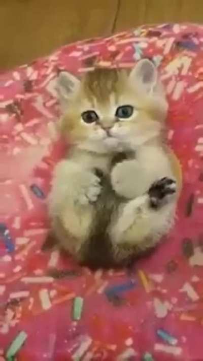 These are my body parts, don't touch them! So adorable. ?