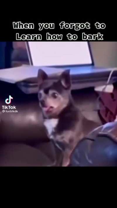 Awwww... Huh?