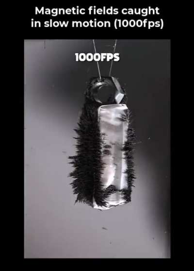 Tracing magnetic fields
