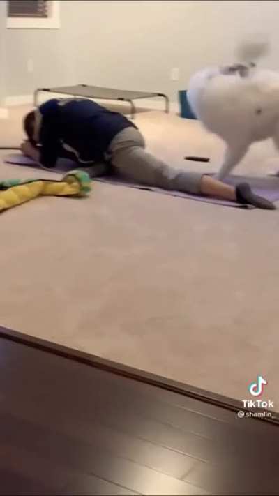 Ass whipping with soft toy