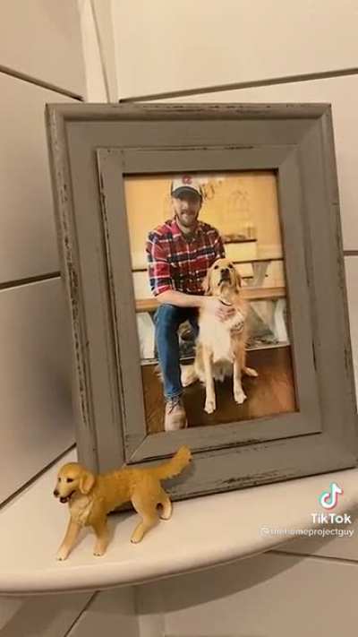 This dog’s house