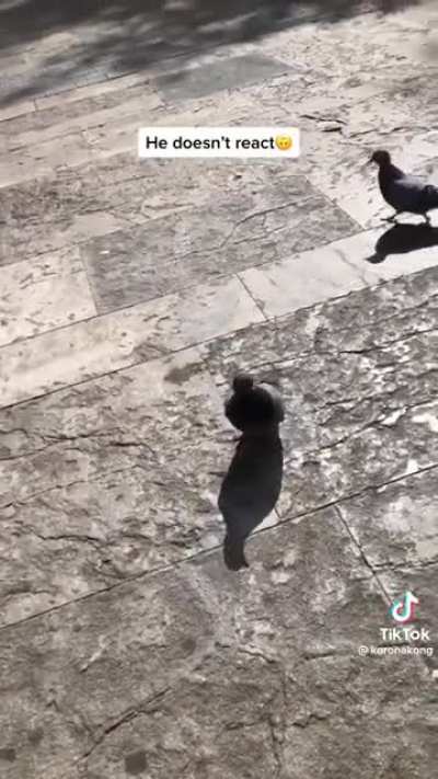 Barcelona, kinda weird ?
