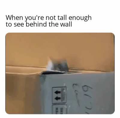 Gonna need a ladder