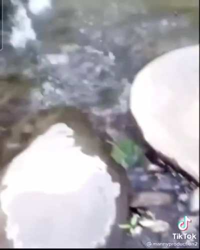 Fast AF boi ?