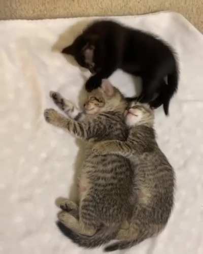 Sweet Dreams ?