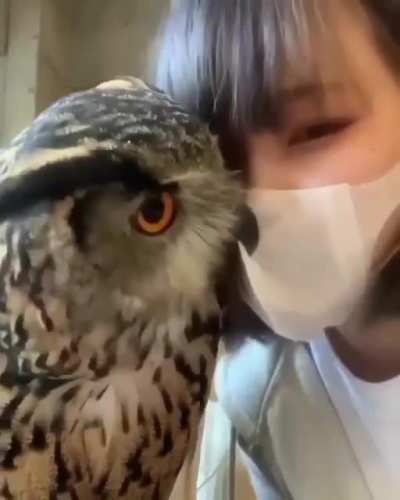 “They don’t wanna see your ugly face, Helen”