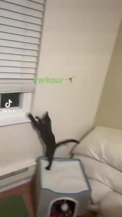 Parkour?
