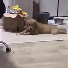 Impossible to Resist