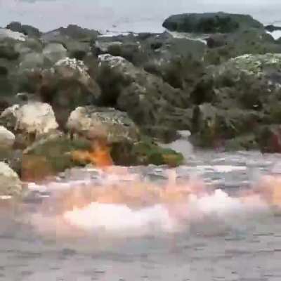 ? Phenomenon on the coast of Mocha Island, Chile.