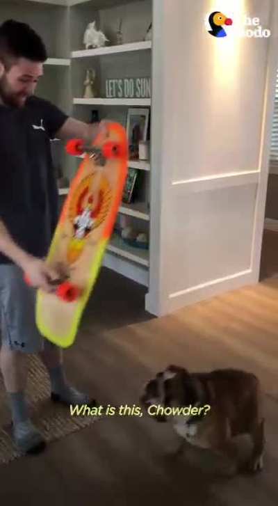 We’re teaching him how to surf next! ?