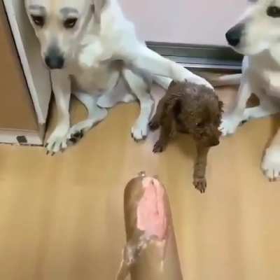 Maybe maybe maybe