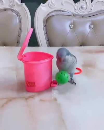 The frustration on his face when the last ball rolls away ?