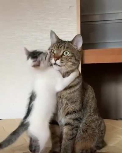 "Why did I have kids?"