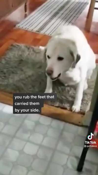 Great now I’m sad