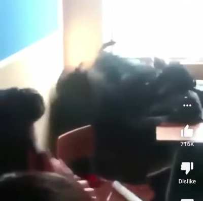 Don’t ask for homework