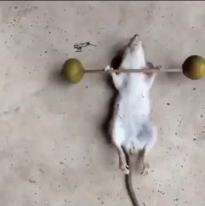 Never give up ?️‍♀️??