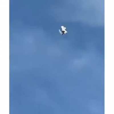 The way this pigeon descends