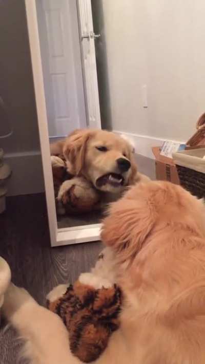He wasn't taking any jokes from that dude in the mirror ...