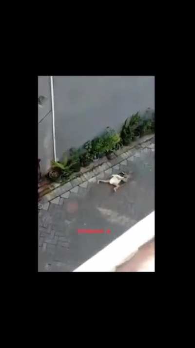 monkey arrives on bicycle, and kidnaps a kid???‍♂️