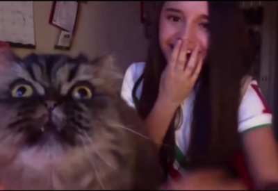 Singing girl is interrupted in the most adorable way.