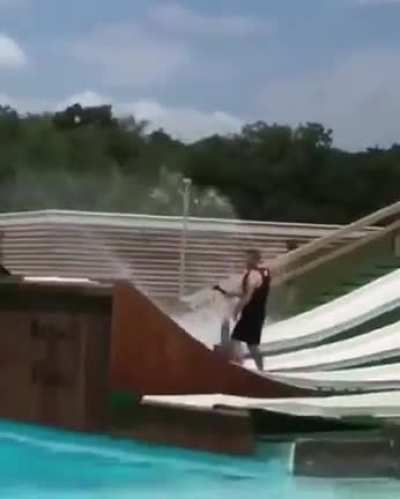 Graceful as a swan