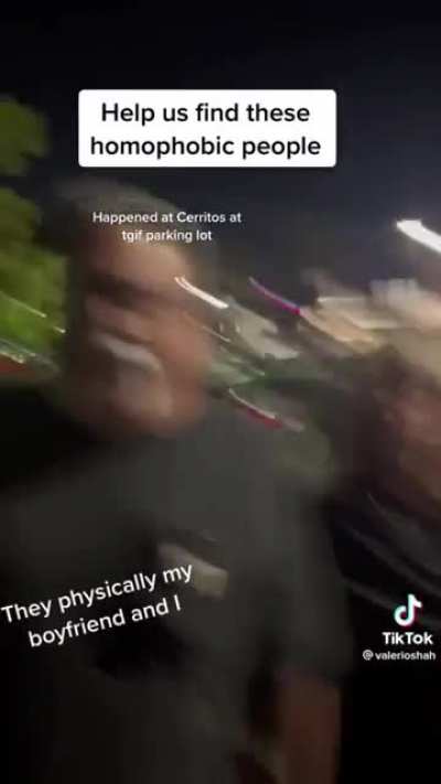 Homophobic Karen harasses gay couple