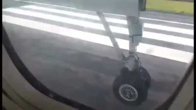 A successful landing... besides the deer exploding