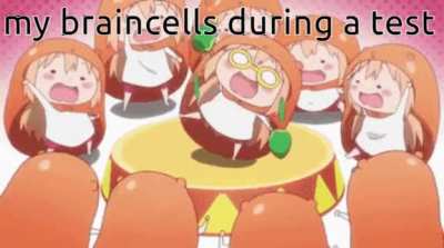 my braincells during a test yes