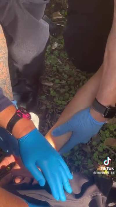 Both she and the bird were ok in the end; she got a tetanus shot and he went to a rescue