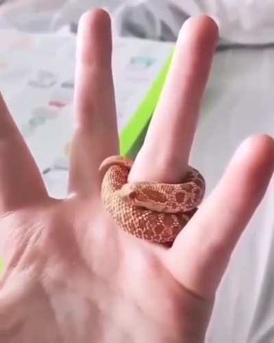 Such a cute little guy!