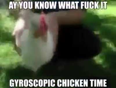 gyroscopic_chicken.mp4