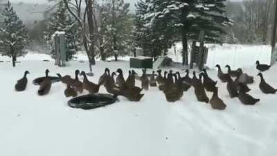 ? the weather is very cold, let's go inside ?