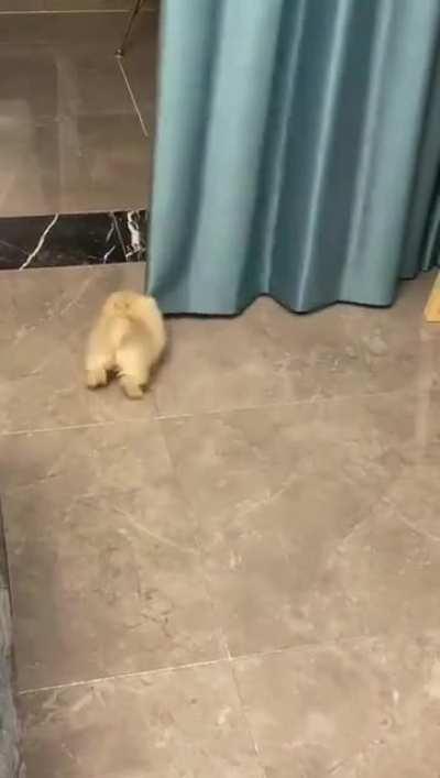 Tiny potato?