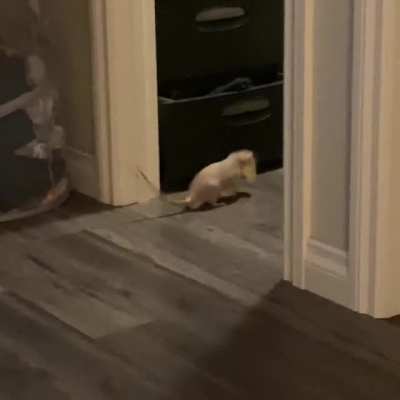 That little hop! ?