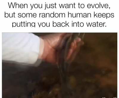 To commit suicide